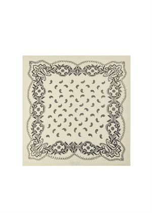 Adelina paisley knit scarf Off White Neo Noir 